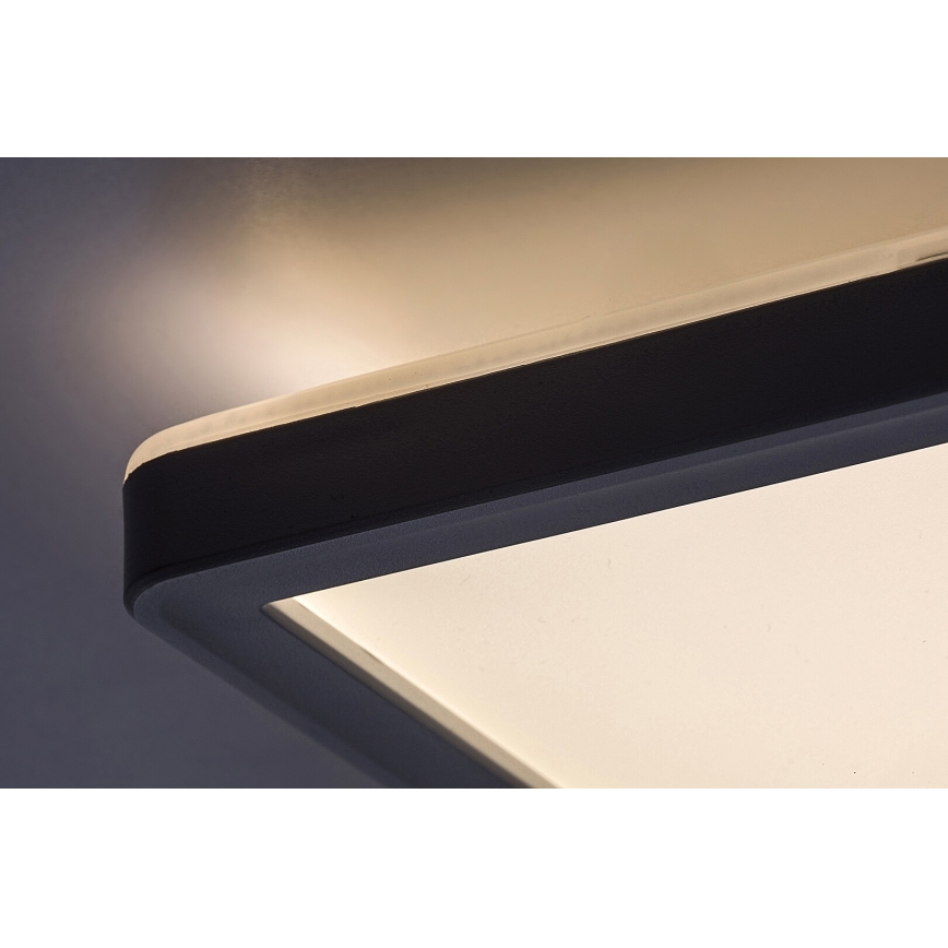 Rabalux - Luminária de teto LED dimerizável LED/22W/230V 42x42 cm