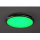 Rabalux - LED RGB Iluminação de teto de casa de banho com regulação LED/18W/230V diâmetro 30 cm 3000-6500K IP44 + controlo remoto