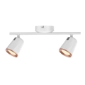 Rabalux 5046 - Foco LED SOLANGE 2xLED/6W/230V
