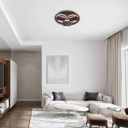 Rabalux - Candeeiro de teto LED dimerizável CAPRIANA LED/18W/230V, diâmetro 38 cm