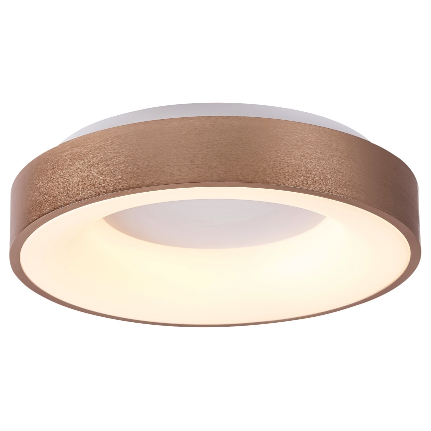 Rabalux - Iluminação de teto LED CARMELA LED/30W/230V diâmetro 38 cm