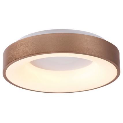 Rabalux - Iluminação de teto LED CARMELA LED/50W/230V diâmetro 60 cm