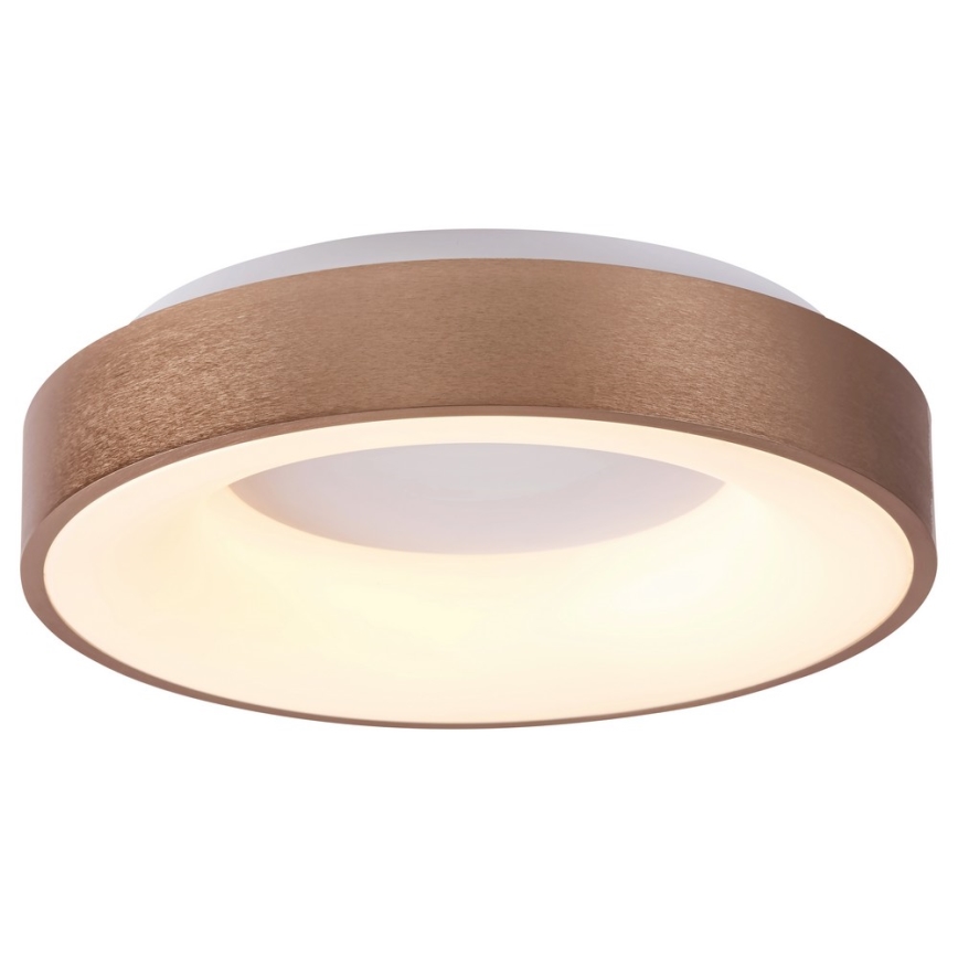 Rabalux - Iluminação de teto LED CARMELA LED/50W/230V diâmetro 60 cm