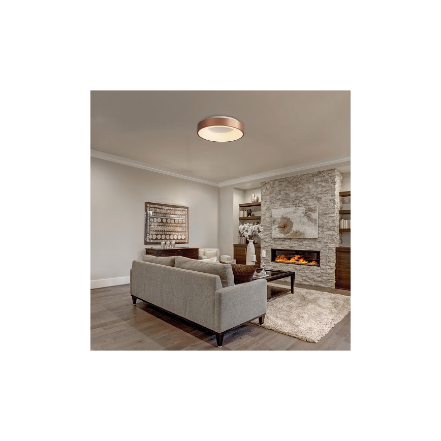 Rabalux - Iluminação de teto LED CARMELA LED/50W/230V diâmetro 60 cm