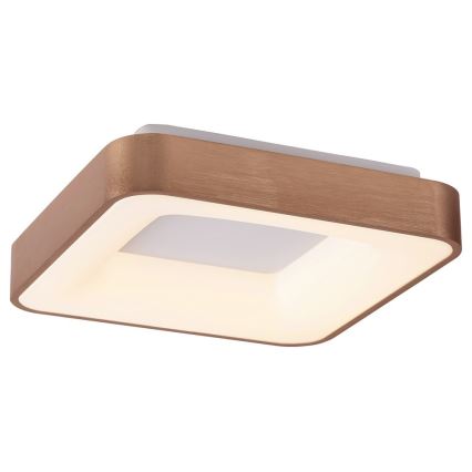 Rabalux - Iluminação de teto LED CARMELA LED/30W/230V 40x40 cm