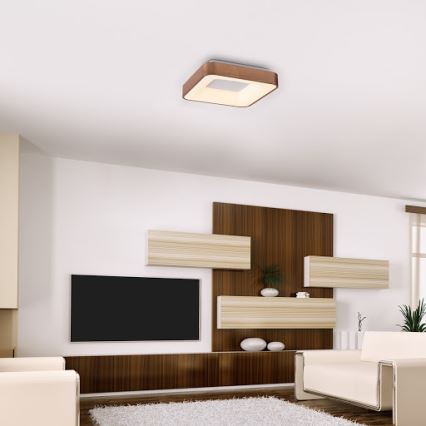 Rabalux - Iluminação de teto LED CARMELA LED/30W/230V 40x40 cm
