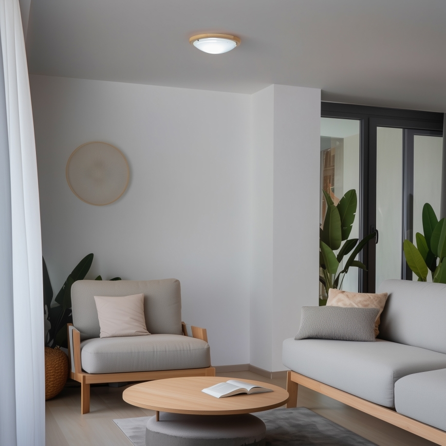 Rabalux - Iluminação de teto 1xE27/60W/230V diâmetro 30 cm