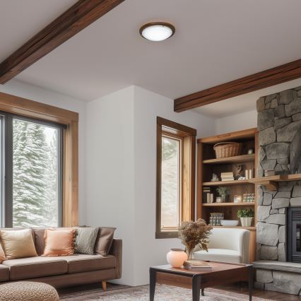 Rabalux - Iluminação de teto 1xE27/60W/230V diâmetro 30 cm