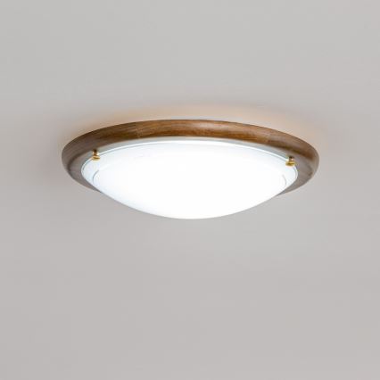 Rabalux - Iluminação de teto 1xE27/60W/230V diâmetro 30 cm