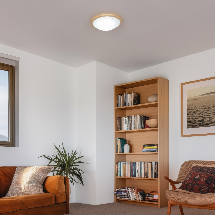 Rabalux - Iluminação de teto 2xE27/60W/230V diâmetro 38 cm