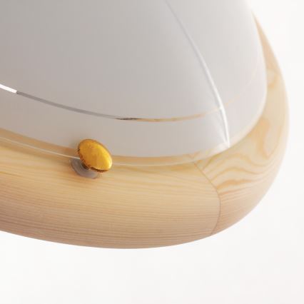 Rabalux - Iluminação de teto 2xE27/60W/230V diâmetro 38 cm