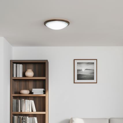 Rabalux - Iluminação de teto 2xE27/60W/230V diâmetro 38 cm