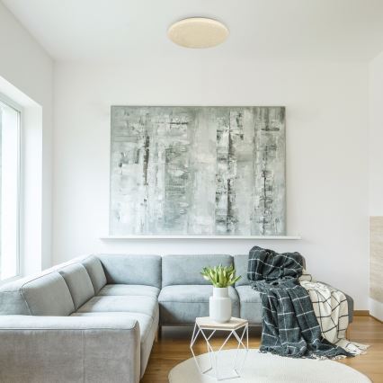 Rabalux - Iluminação de teto LED LED/32W/230V diâmetro 38 cm