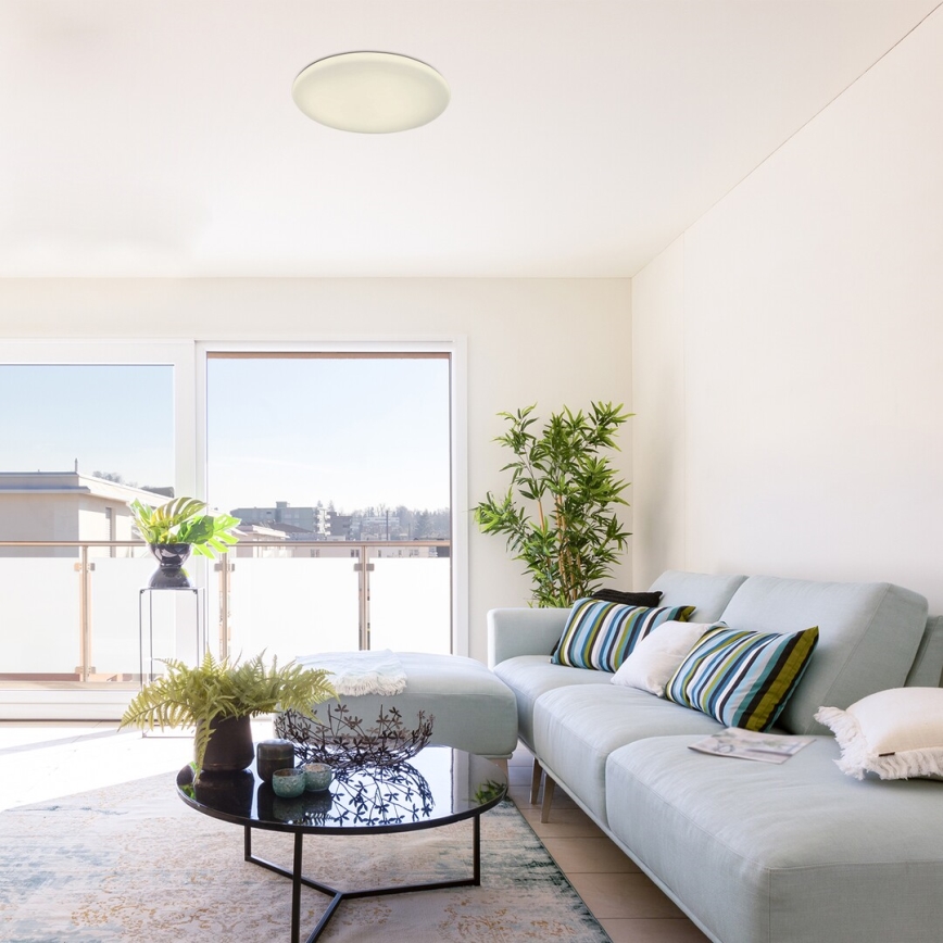 Rabalux - Candeeiro de tecto LED dimerizável, 60W/230V, com comando remoto, Ø 60 cm