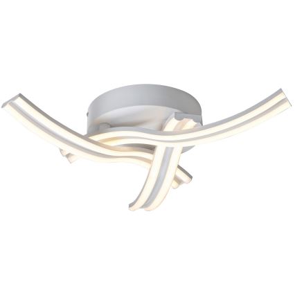 Rabalux - Luz de teto LED LED/40W/230V