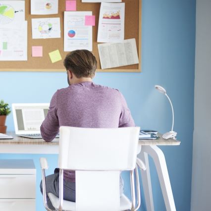 Rabalux 6448 - LED Lâmpada com regulação na klip HARRIS LED/4W