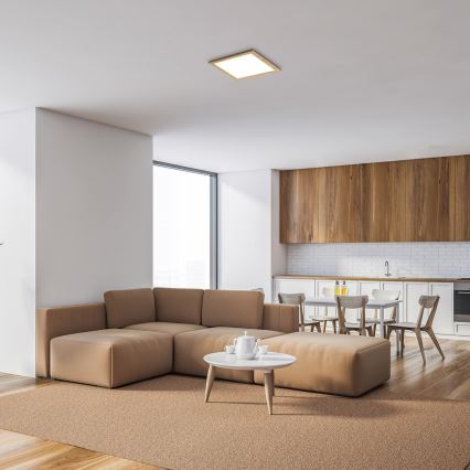 Rabalux - Painel montado à superfície LED LED/12W/230V 4000K