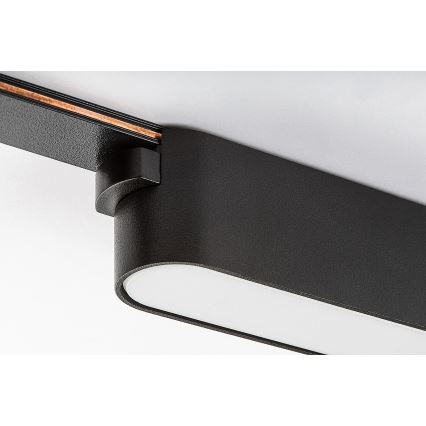 Rabalux - Candeeiro de teto LED para sistema de carris monofásico LED/6W/24V 3000K 11,5 cm preto