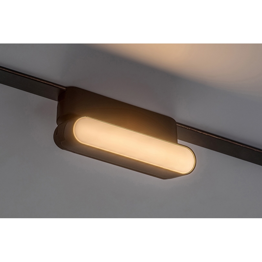 Rabalux - Candeeiro de teto LED para sistema de carris monofásico LED/6W/24V 3000K 11,5 cm preto