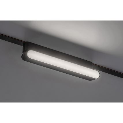Rabalux - Candeeiro de teto LED para sistema de carris monofásico LED/12W/24V 4000K 22 cm preto
