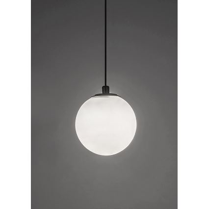 Rabalux - Candeeiro suspenso LED para sistema de carris monofásico LED/5W/24V 4000K preto