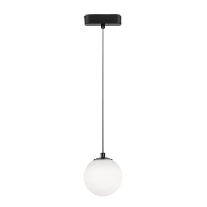Rabalux - Candeeiro suspenso LED para sistema de carris monofásico LED/5W/24V 4000K preto