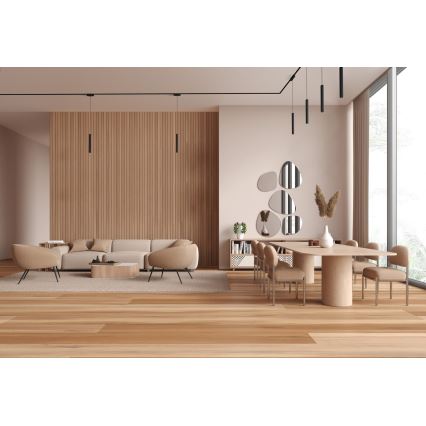 Rabalux - Candeeiro suspenso LED para sistema de carris monofásico LED/5W/24V 4000K preto