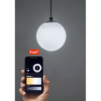 Rabalux - Candeeiro suspenso LED com regulação para sistema de carris monofásico LED/5W/24V 2700-5500K Wi-Fi Tuya preto