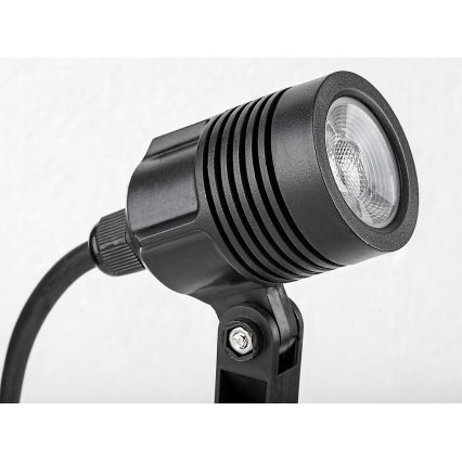 Rabalux - Lâmpada LED Exterior LED/3W/230V IP65