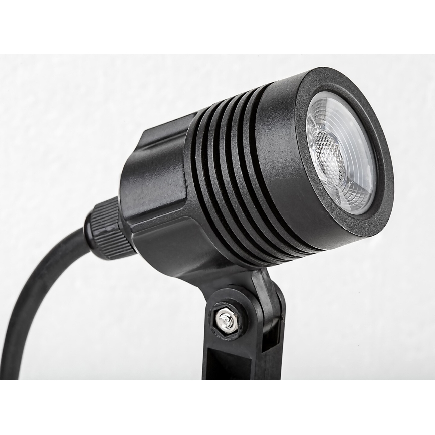 Rabalux - Lâmpada LED Exterior LED/3W/230V IP65