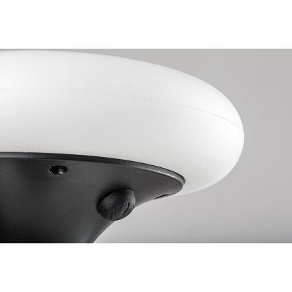 Rabalux - Luminária Solar LED RGB LED/0,6W/3,7V IP65 1200 mAh