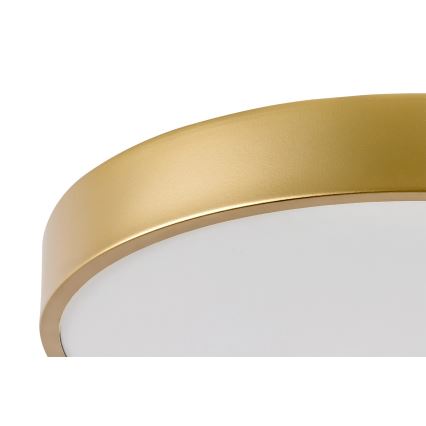 Rabalux - Luminária de teto LED/36W/230V 3000K Ø 40 cm