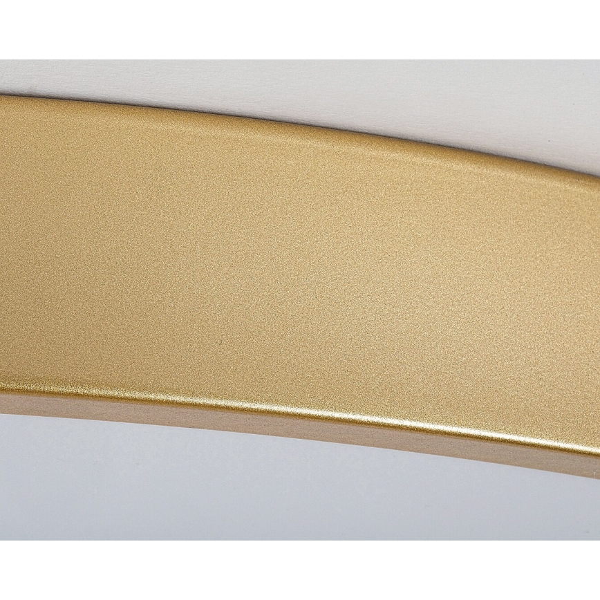 Rabalux - Candeeiro de teto dimerizável LED/60W/230V 3000-6000K + controlo remoto, Ø 60 cm