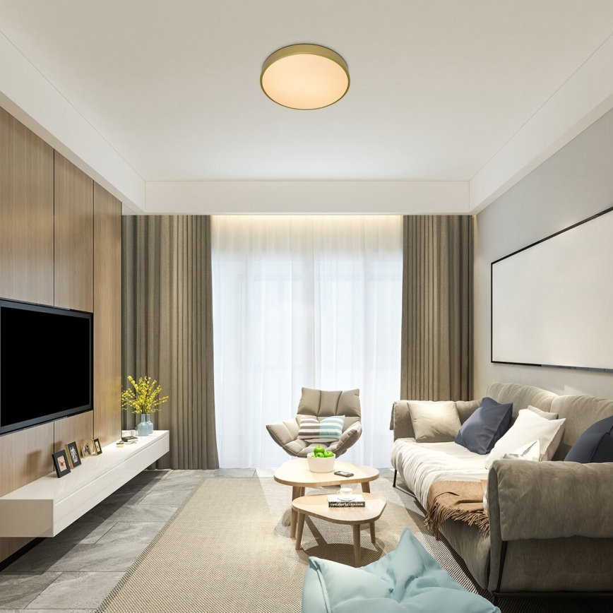 Rabalux - Candeeiro de teto dimerizável LED/60W/230V 3000-6000K + controlo remoto, Ø 60 cm