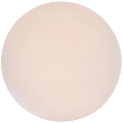 Rabalux - Luminária de teto LED/12W/230V 3000K Ø 25,5 cm