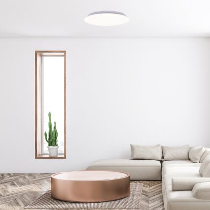 Rabalux - Plafon de teto LED 18W/230V 4000K Ø 28 cm