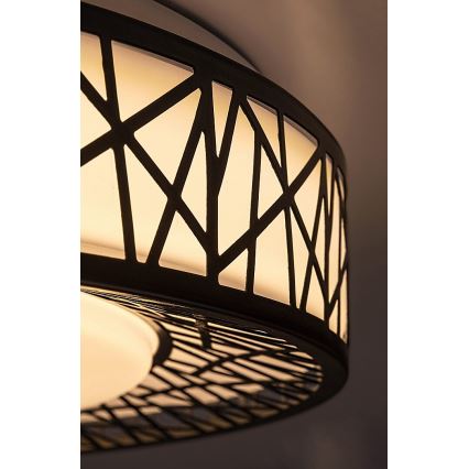 Rabalux - Candeeiro de teto LED regulável LED/48W/230V 3000-6500K com comando remoto, Ø 49 cm