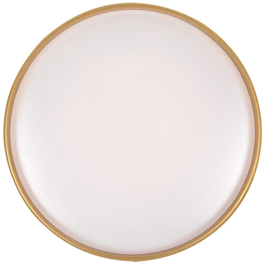 Rabalux - Luminária de teto LED regulável LED/24W/230V 3000-6500K Ø 39 cm + comando remoto