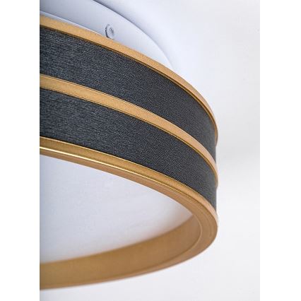 Rabalux - Luminária de teto LED regulável LED/24W/230V 3000-6500K Ø 39 cm + comando remoto