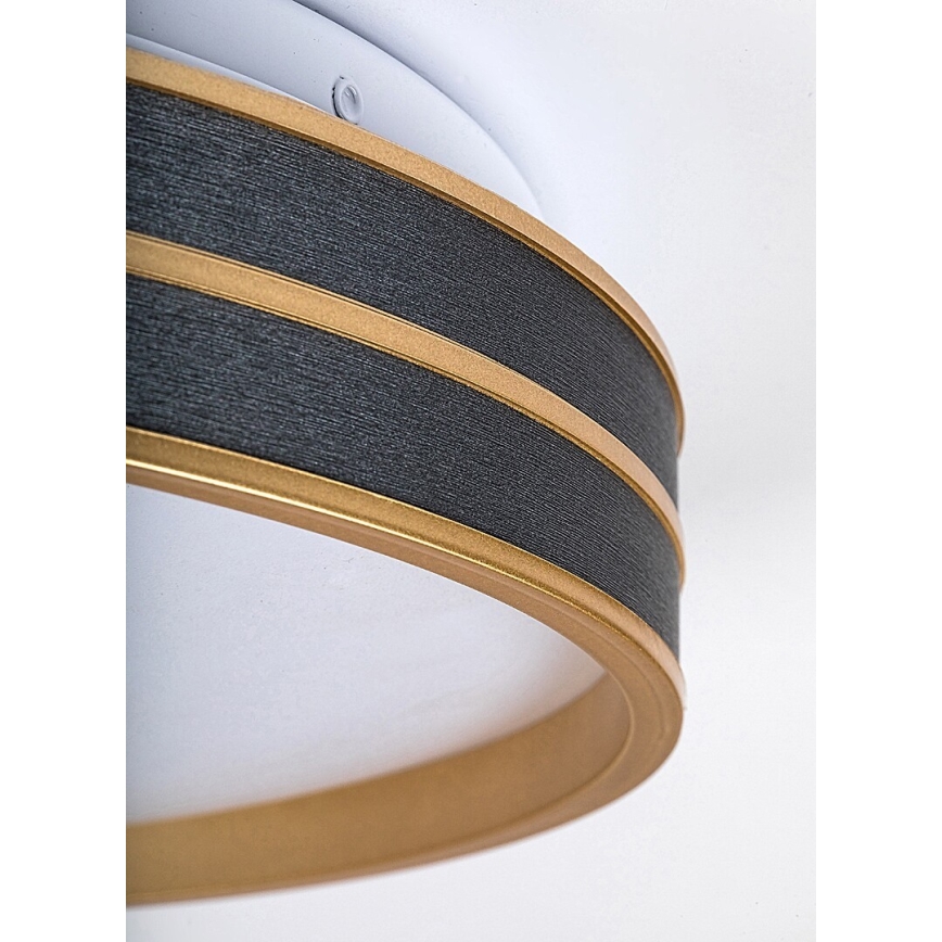 Rabalux - Luminária de teto LED regulável LED/24W/230V 3000-6500K Ø 39 cm + comando remoto