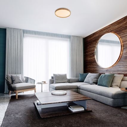 Rabalux - Iluminação de teto LED LED/24W/230V 3000K diâmetro 38 cm