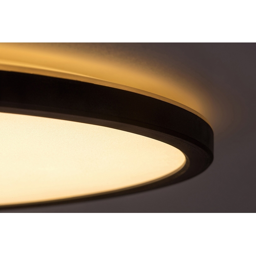 Rabalux - Iluminação de teto LED com regulação LED/22W/230V 3000K 42 cm
