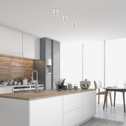 Rabalux - Foco 1xGU10/25W/230V redondo branco