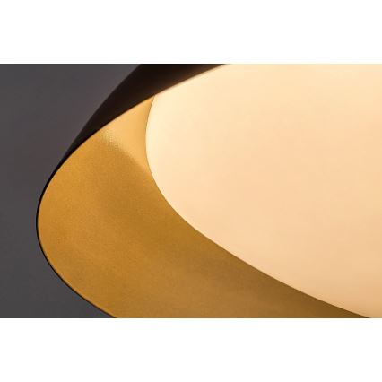 Rabalux - Iluminação de teto LED LED/24W/230V 3000K diâmetro 40 cm