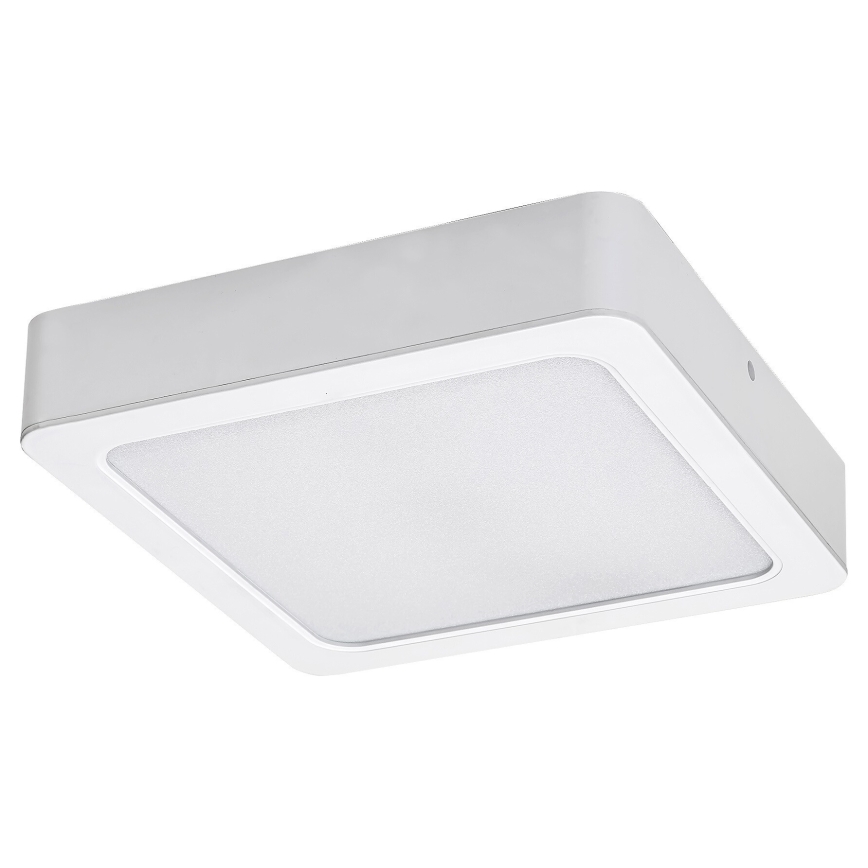 Rabalux - Iluminação de teto LED LED/15W/230V 4000K 16x16 cm branco