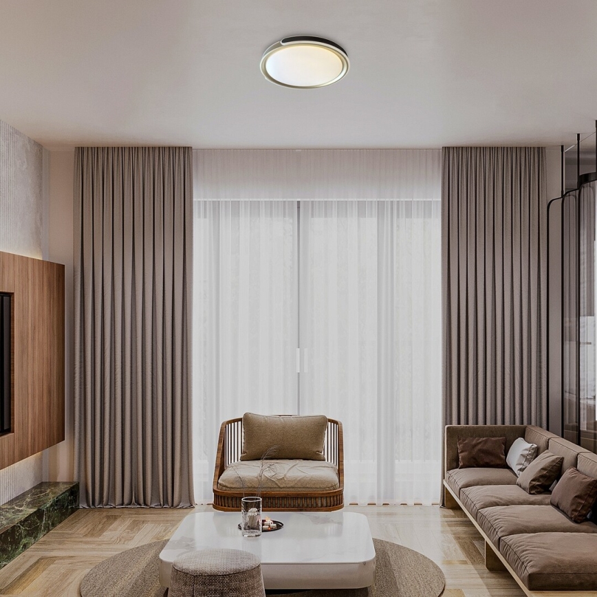 Rabalux - Iluminação de teto LED com regulação LED/48W/230V 3000-6500K + comando