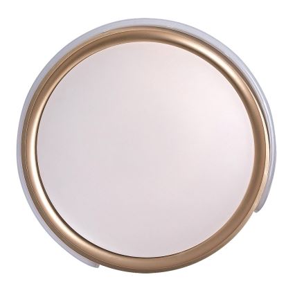 Rabalux - Iluminação de teto LED com regulação LED/48W/230V 3000-6500K + comando