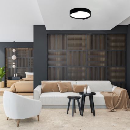 Rabalux - Iluminação de teto LED com regulação LED/48W/230V 3000-6500K + comando