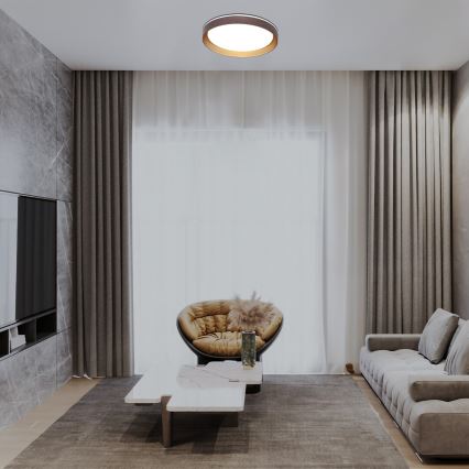 Rabalux - Iluminação de teto LED com regulação LED/48W/230V 3000-6500K + comando