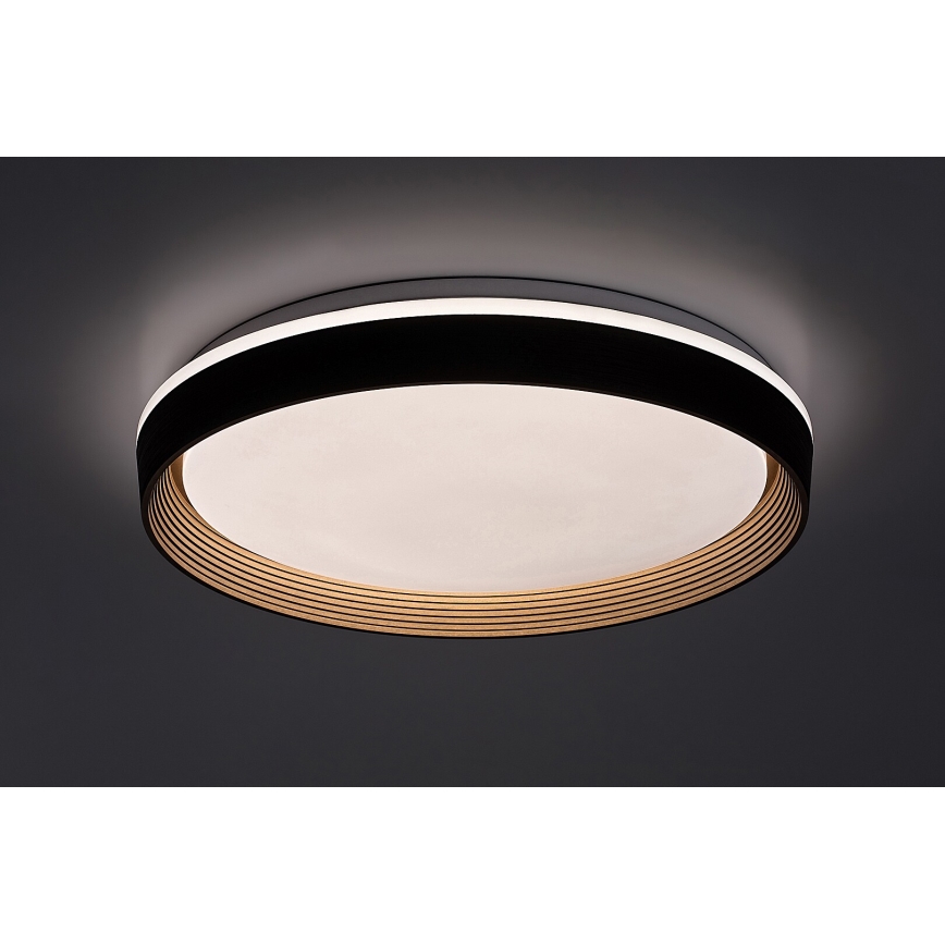 Rabalux - Iluminação de teto LED com regulação LED/48W/230V 3000-6500K + comando